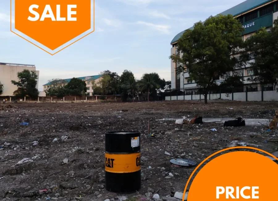 11,031 sqm Commercial Land for Sale along Sucat Road, Parañaque